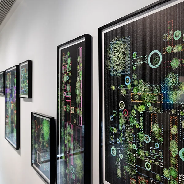 Generative Sketch - Succulent Garden