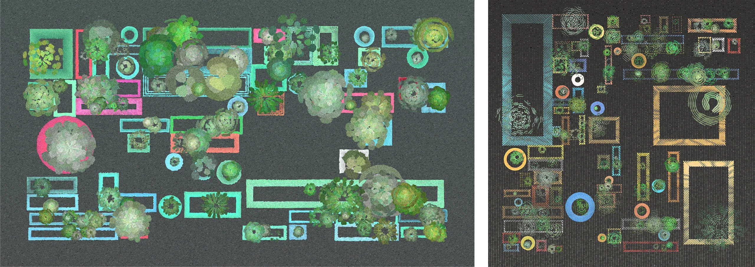 2023-succulent image